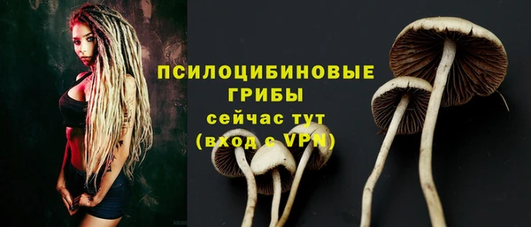 дурь Арсеньев