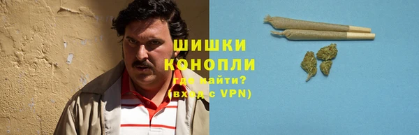 дурь Арсеньев