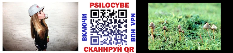 Псилоцибиновые грибы Magic Shrooms  даркнет сайт  Солнечногорск 
